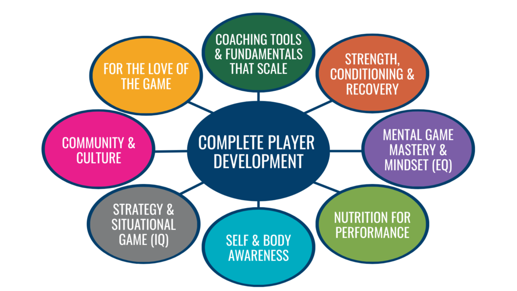 A visual representation of the list of competencies that precedes this image. 